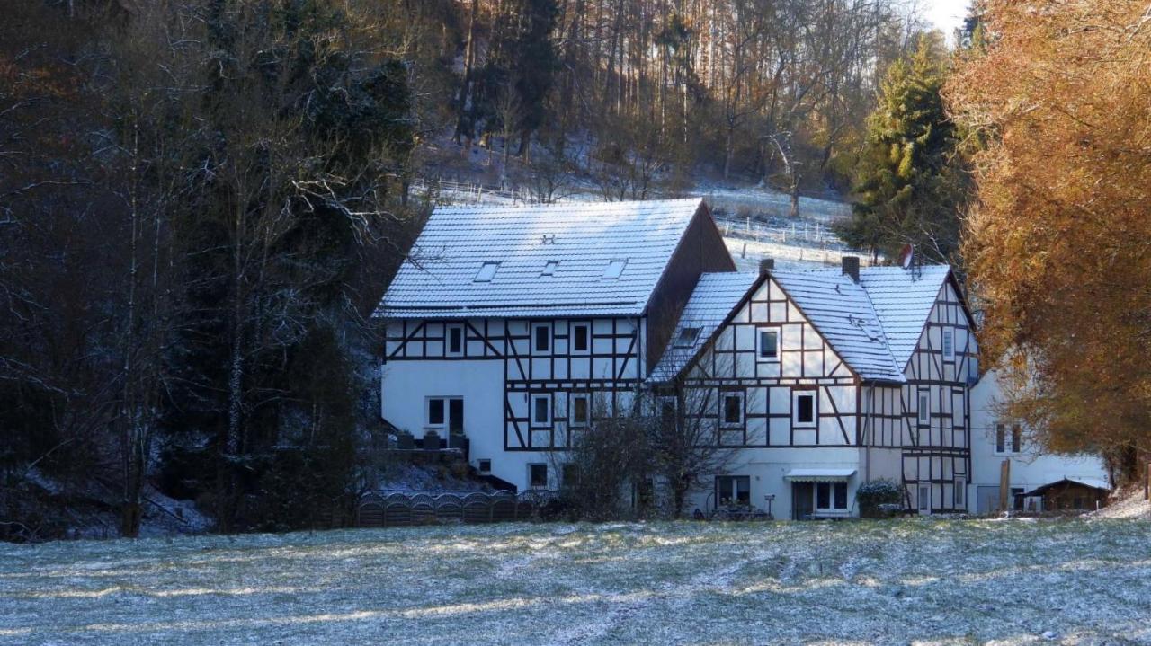Haus An Der Werbe Apartment Валдек Екстериор снимка